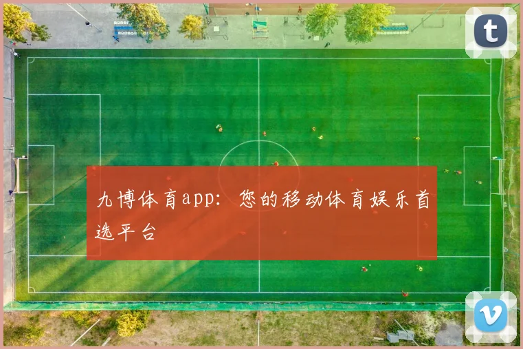 九博体育app：您的移动体育娱乐首选平台