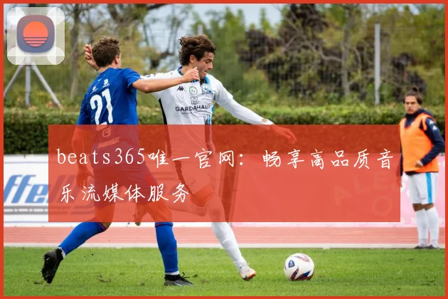 beats365唯一官网：畅享高品质音乐流媒体服务